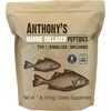 1 Pound (Pack of 1)